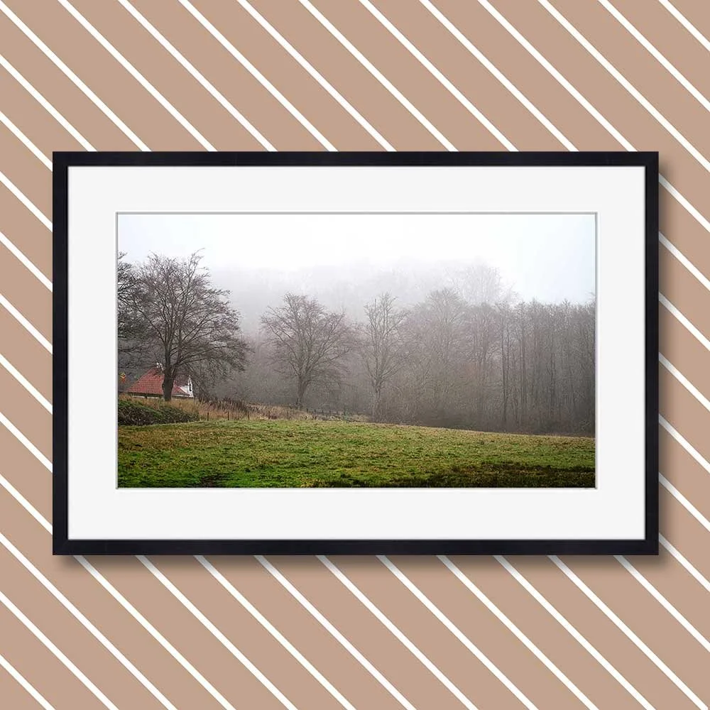 a-wet-and-foggy-december-day-11-copy.jpg