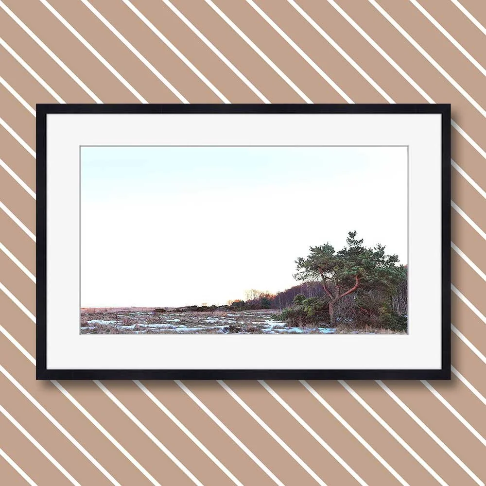 west-coast-interpretation-1-copy.jpg