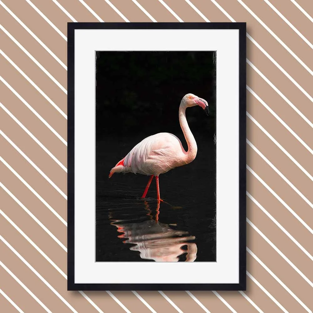 flamingo-nothing-else-to-say.jpg