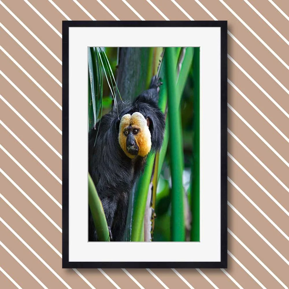 in-a-bamboo-jungle-copy.jpg