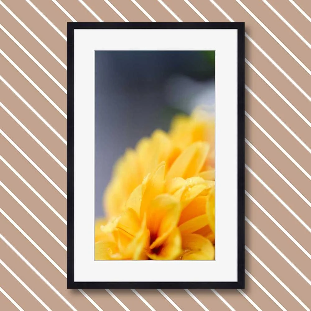 yellow-waves.jpg