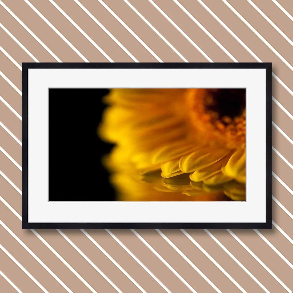 yellow-reflection.jpg