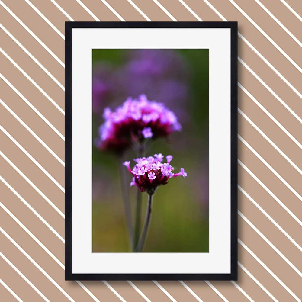 small-purple.jpg