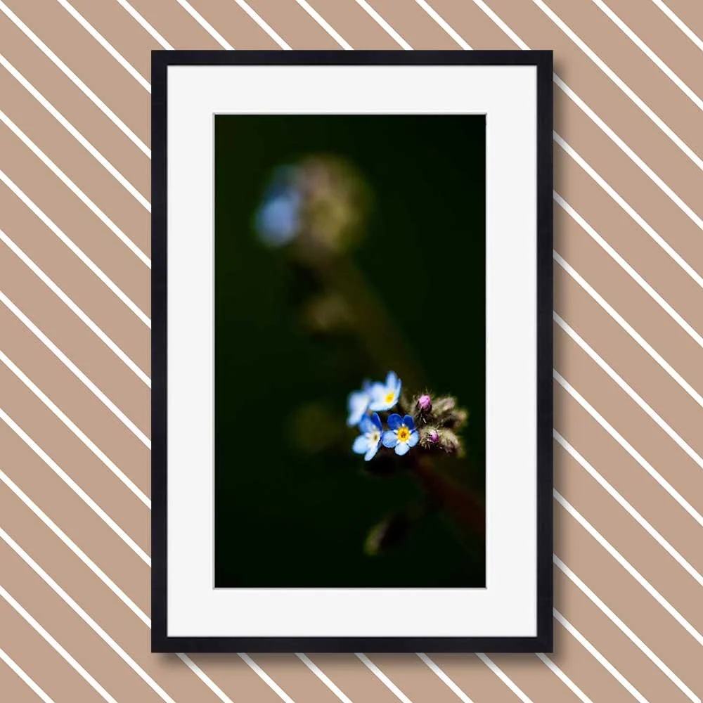 a-small-beauty.jpg