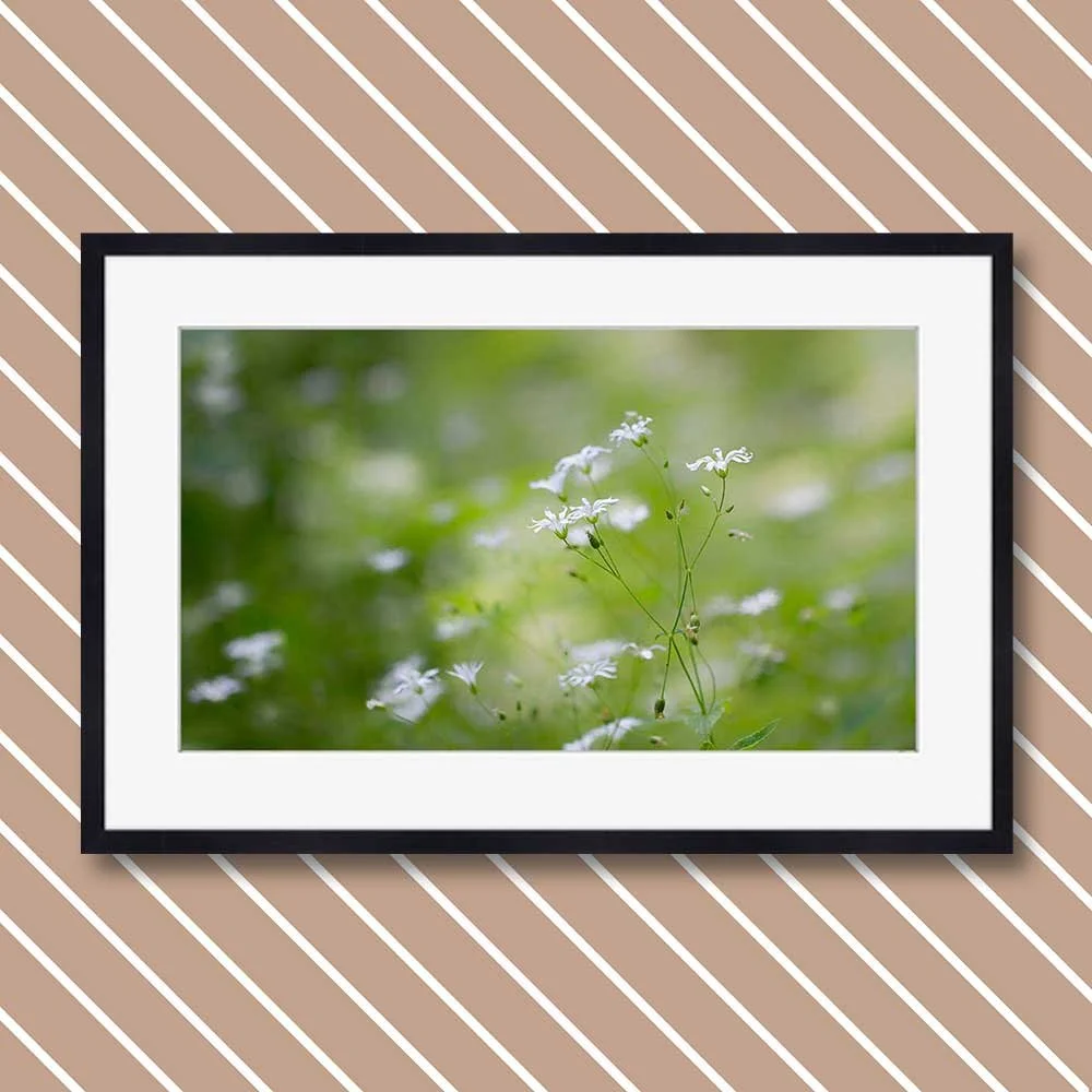 flower-veil.jpg