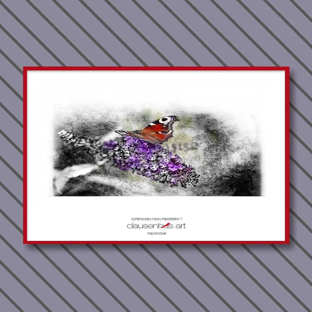 contemporary-macro-interpretation-1-copy.jpg