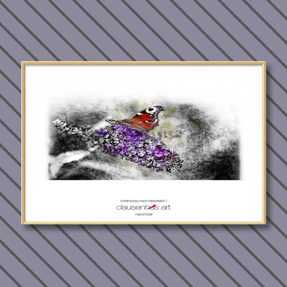 contemporary-macro-interpretation-1.jpg