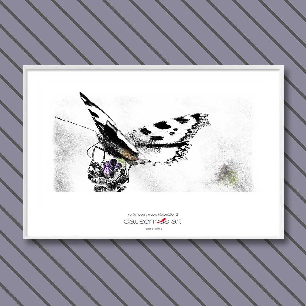 contemporary-macro-interpretation-2-copy.jpg