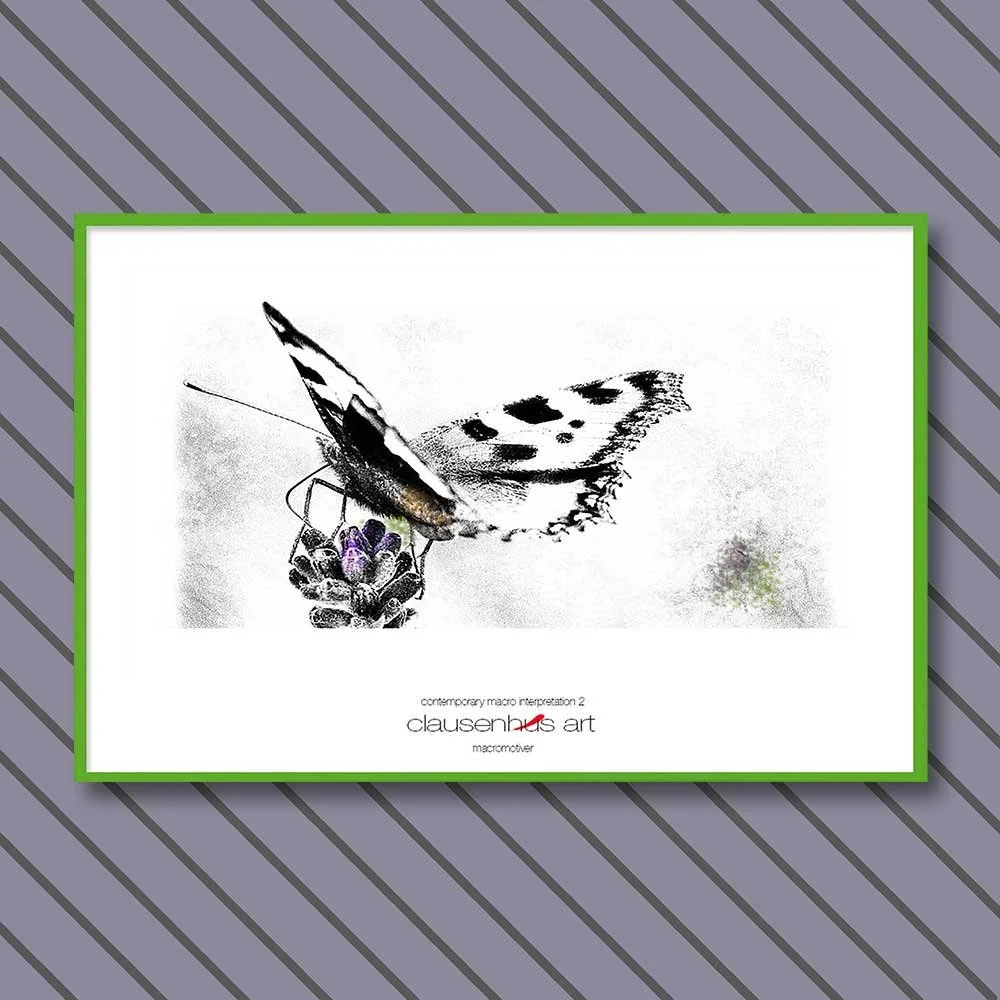 contemporary-macro-interpretation-2-copy.jpg