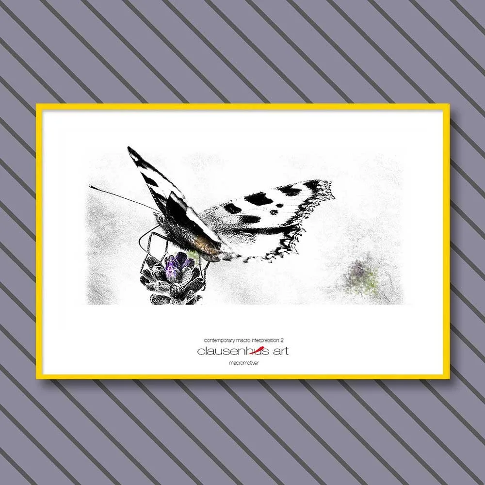 contemporary-macro-interpretation-2-copy.jpg