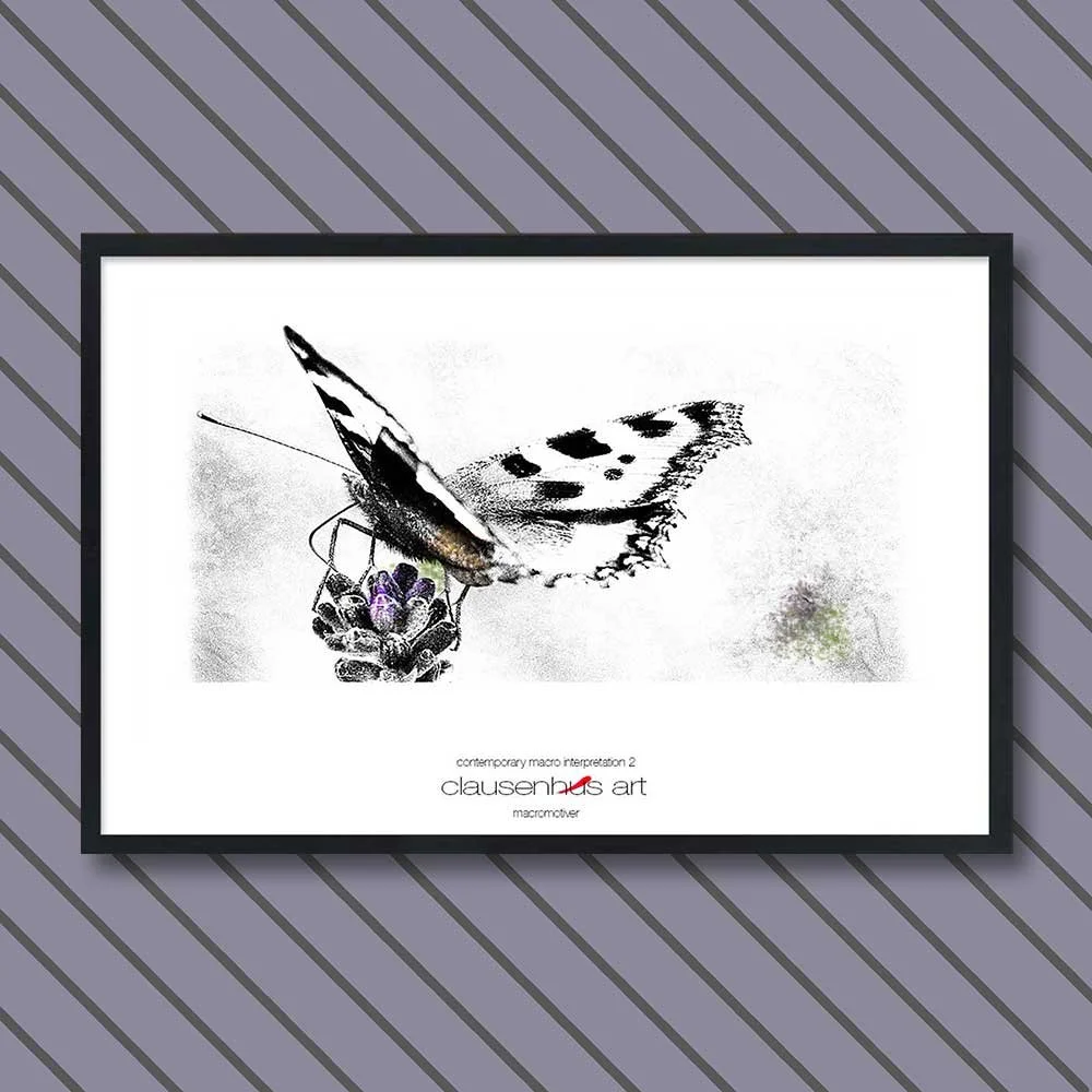 contemporary-macro-interpretation-2-copy.jpg