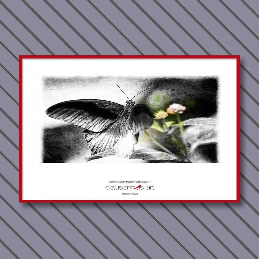 contemporary-macro-interpretation-4-copy.jpg