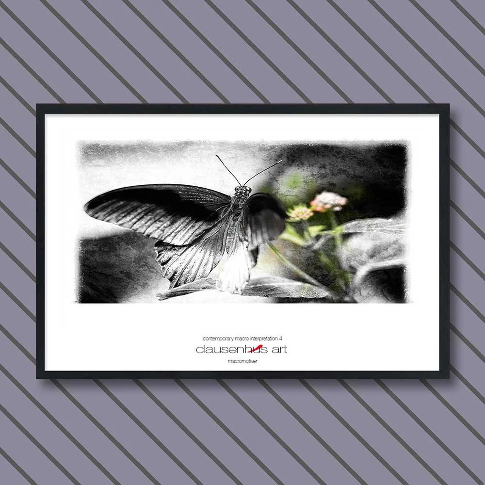 contemporary-macro-interpretation-4-copy.jpg