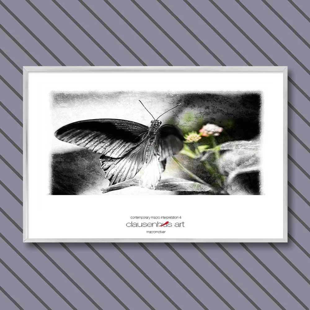 contemporary-macro-interpretation-4-copy.jpg