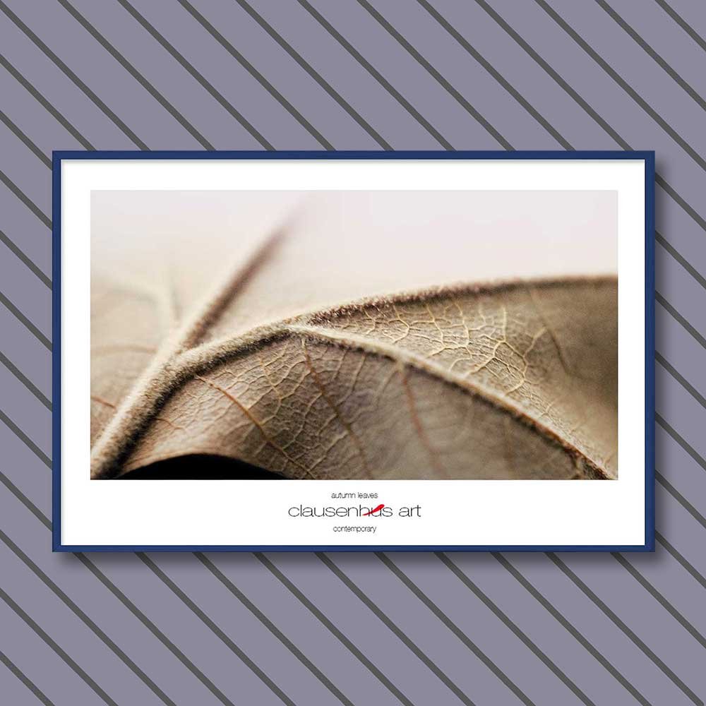 autumn-leaves-copy.jpg