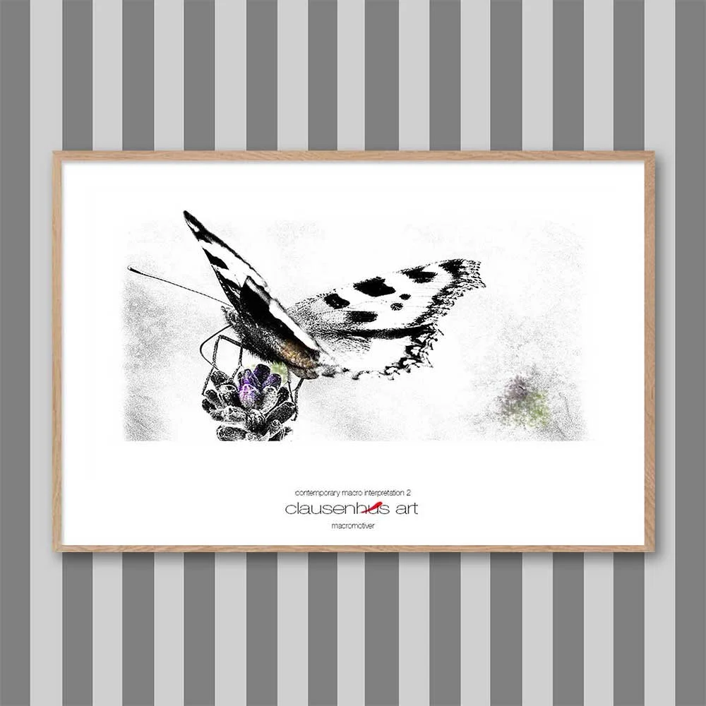 contemporary-macro-interpretation-2-copy.jpg
