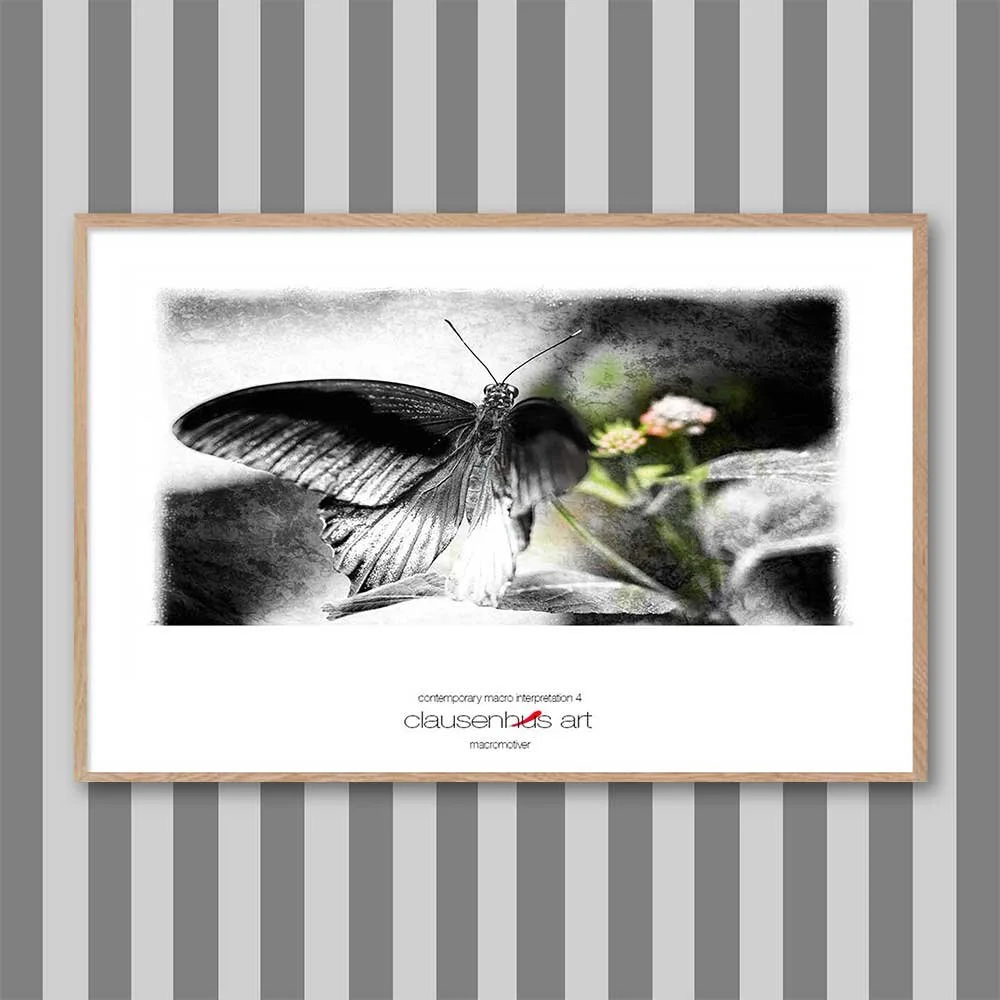 contemporary-macro-interpretation-4-copy.jpg