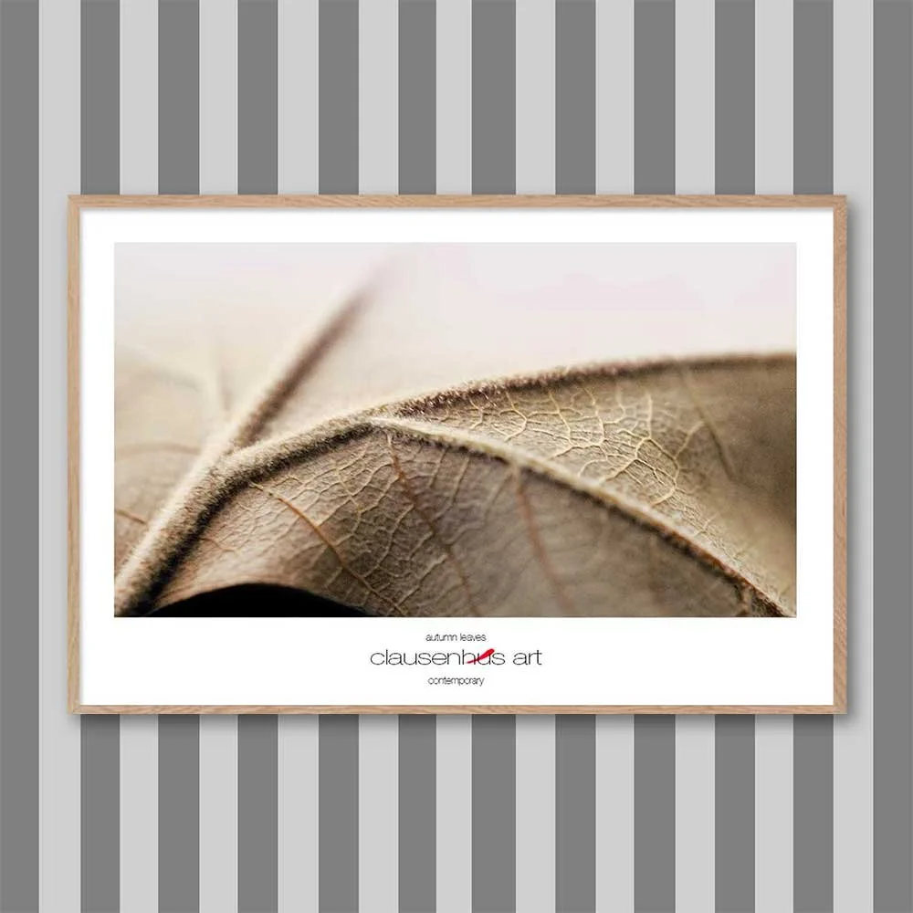 autumn-leaves.jpg