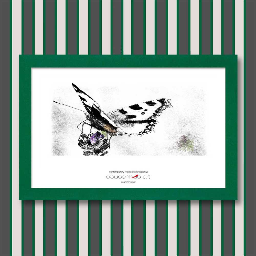 contemporary-macro-interpretation-2-copy.jpg
