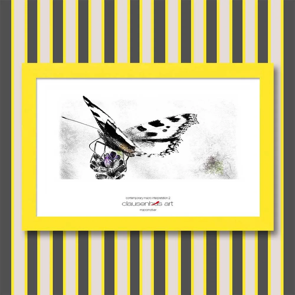 contemporary-macro-interpretation-2-copy.jpg