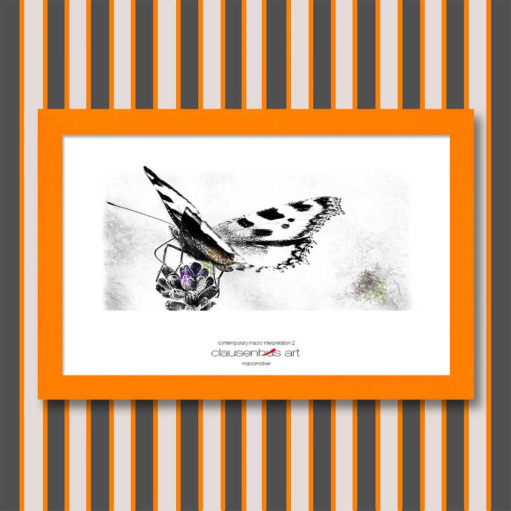 contemporary-macro-interpretation-2-copy.jpg