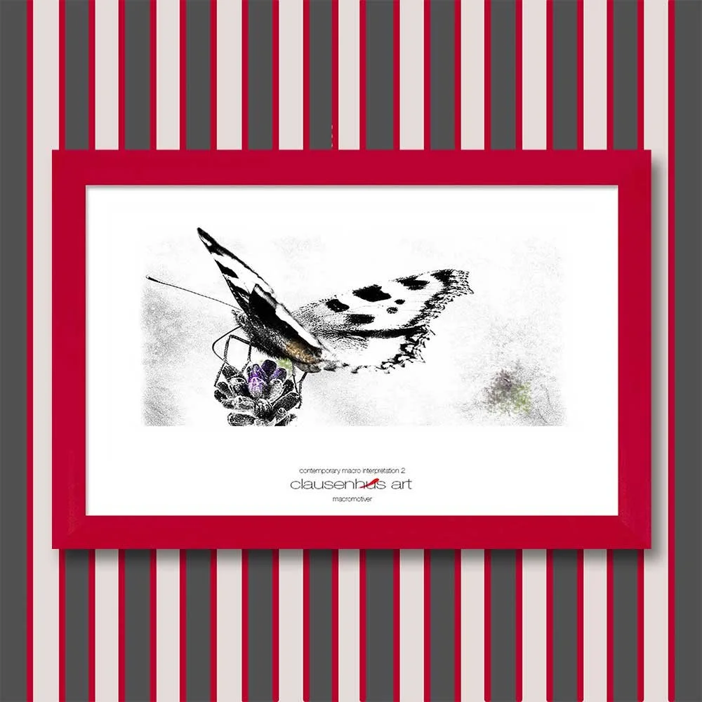 contemporary-macro-interpretation-2-copy.jpg