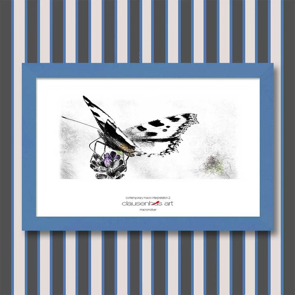 contemporary-macro-interpretation-2-copy.jpg