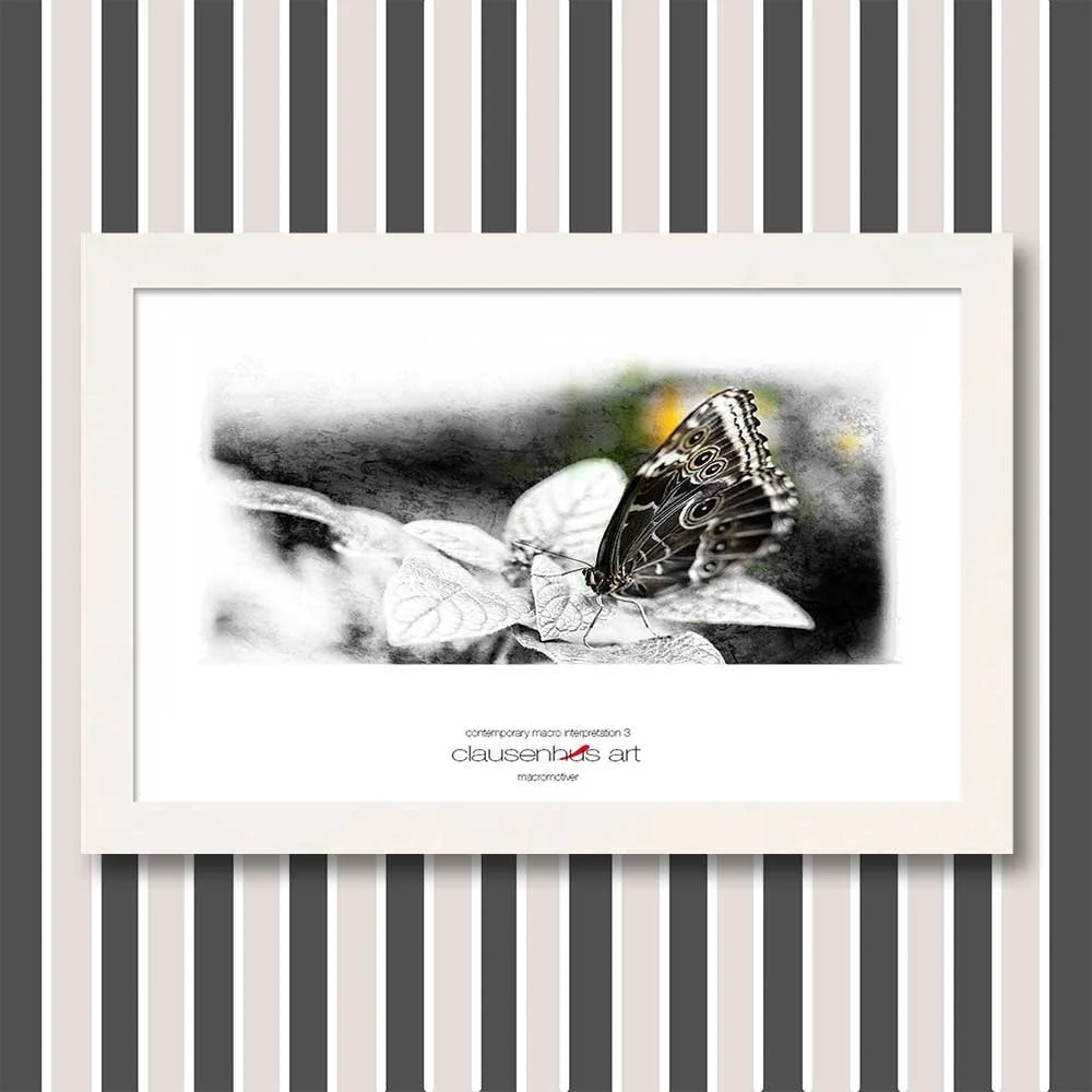 contemporary-macro-interpretation-3-copy.jpg