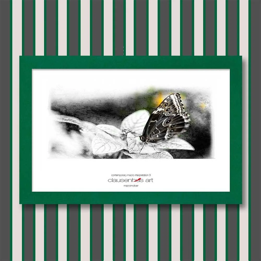 contemporary-macro-interpretation-3-copy.jpg