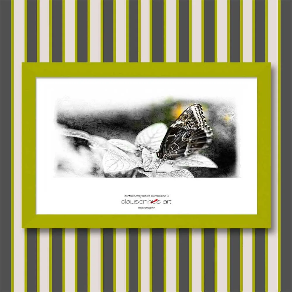contemporary-macro-interpretation-3-copy.jpg