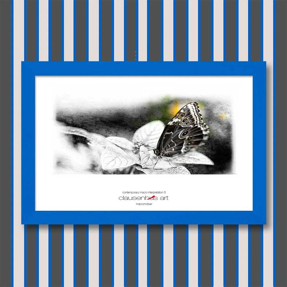 contemporary-macro-interpretation-3-copy.jpg