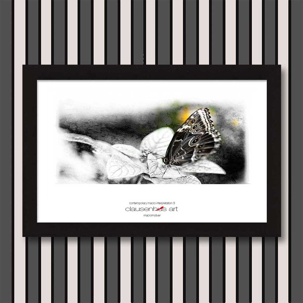 contemporary-macro-interpretation-3-copy.jpg