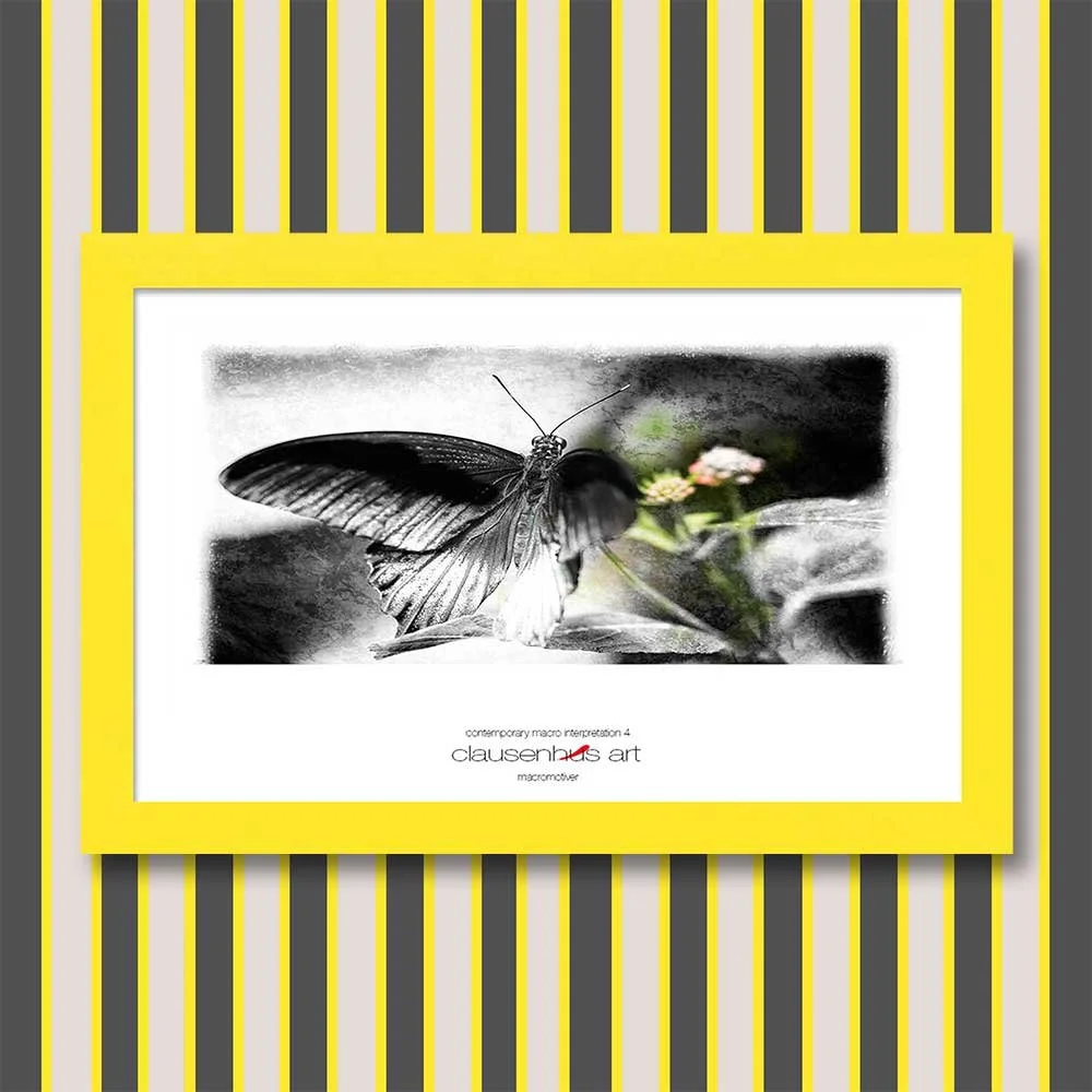 contemporary-macro-interpretation-4-copy.jpg