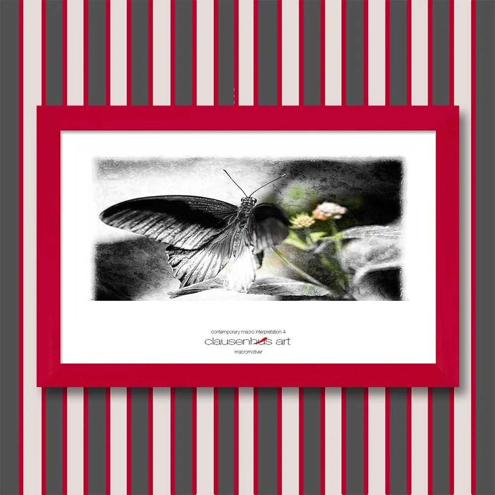 contemporary-macro-interpretation-4-copy.jpg