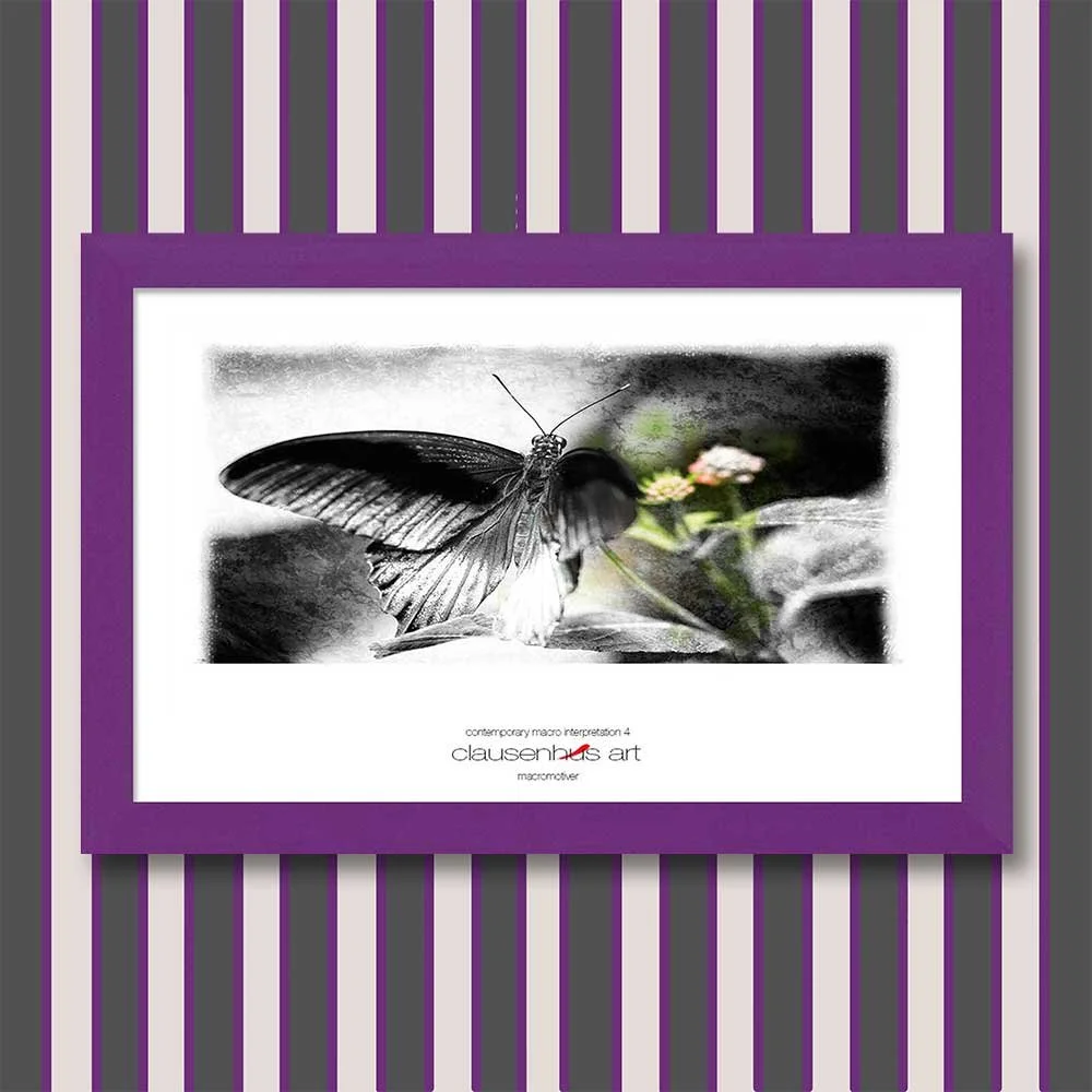 contemporary-macro-interpretation-4-copy.jpg