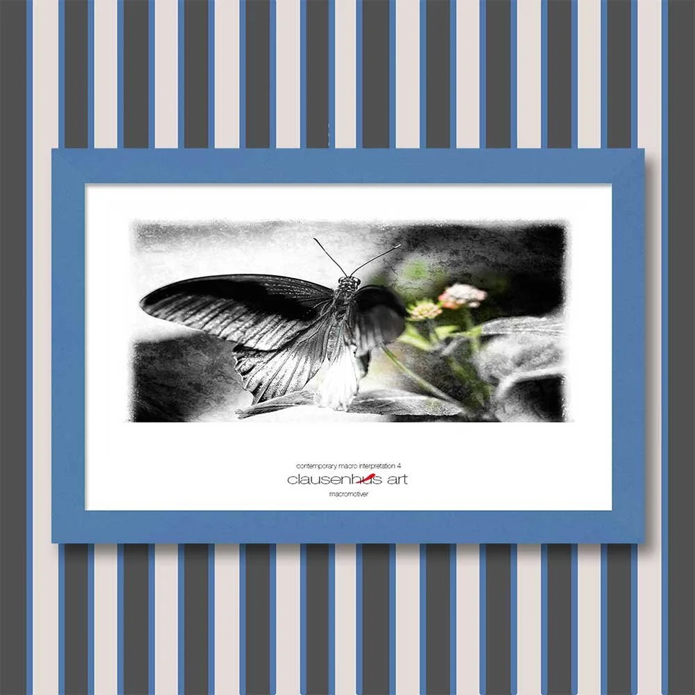 contemporary-macro-interpretation-4-copy.jpg