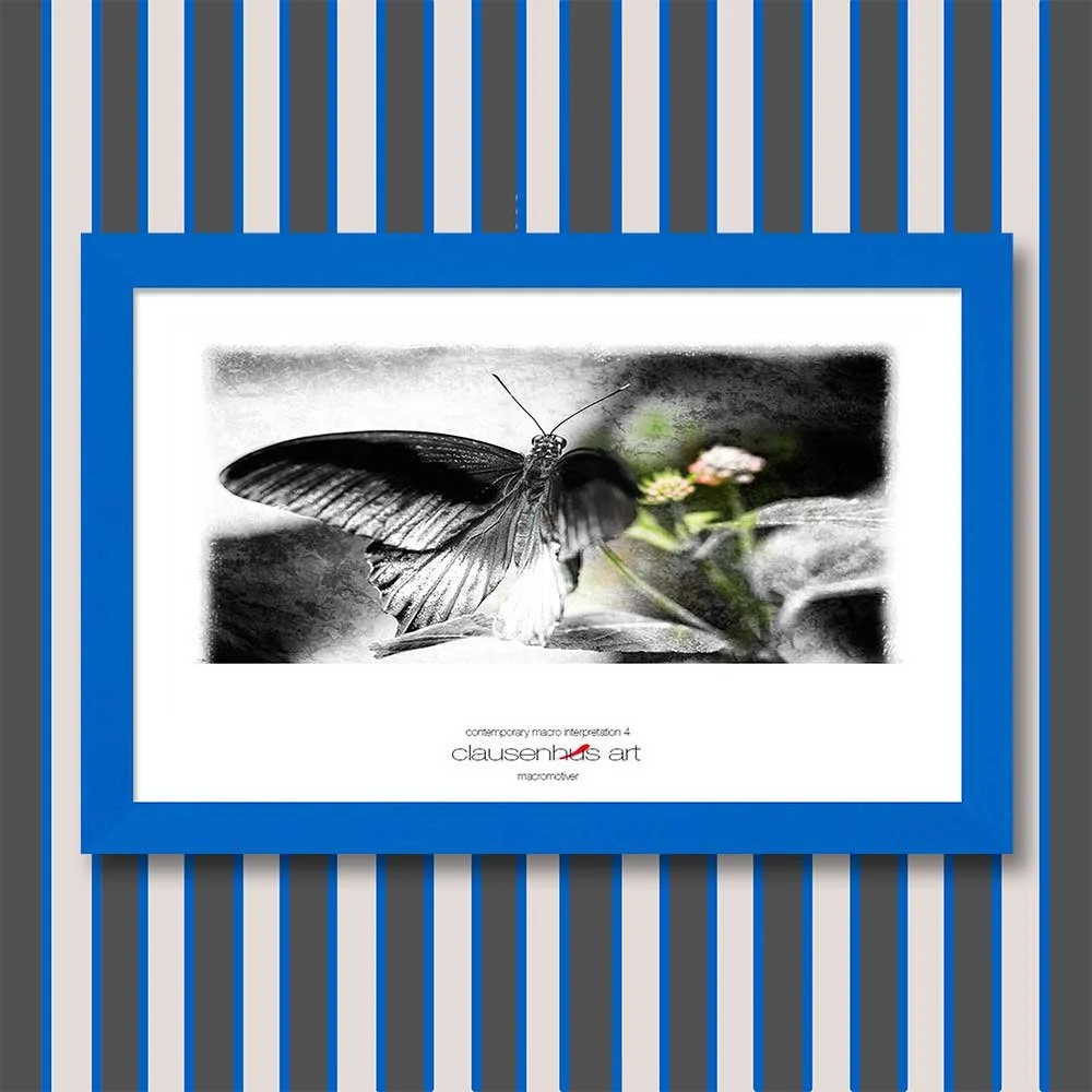 contemporary-macro-interpretation-4-copy.jpg