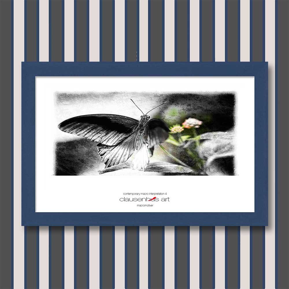contemporary-macro-interpretation-4-copy.jpg