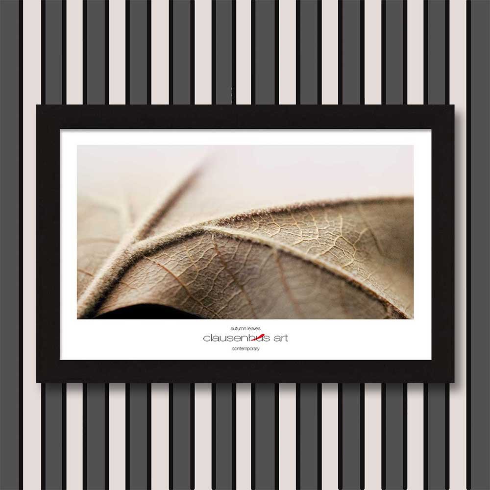 autumn-leaves-copy.jpg
