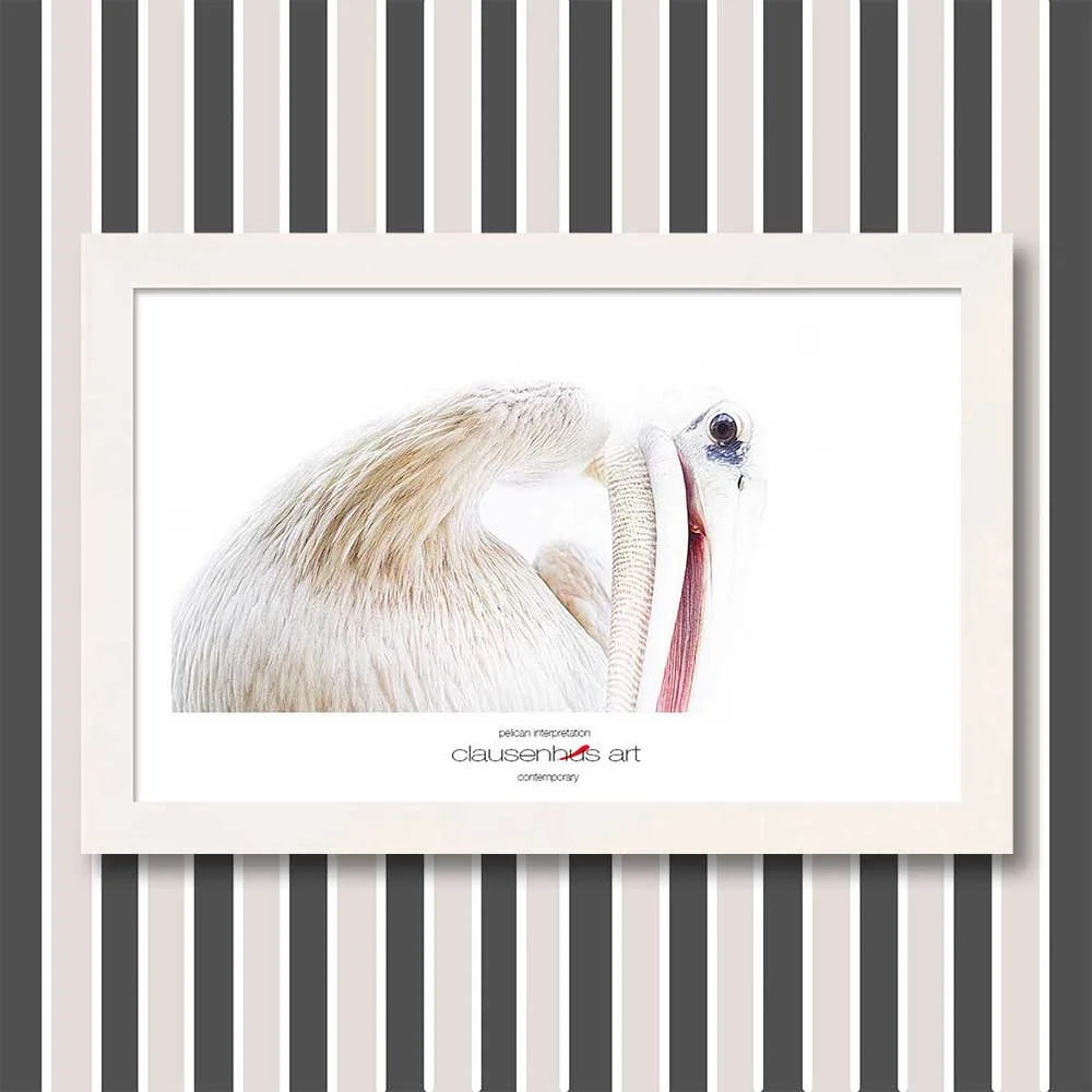 pelican-interpretation.jpg