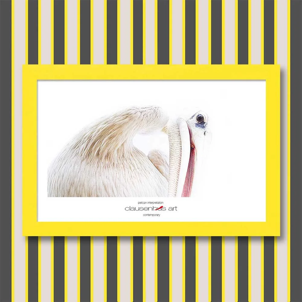pelican-interpretation.jpg