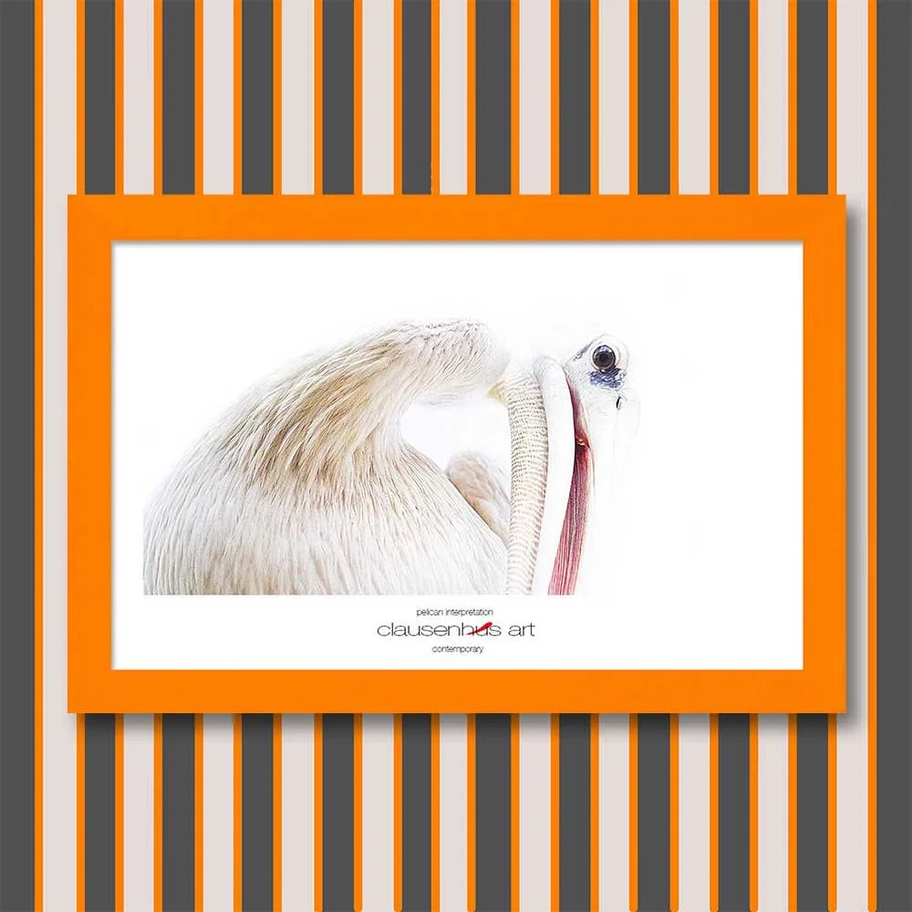 pelican-interpretation.jpg