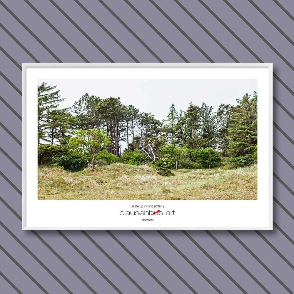 skallerup-indlandsklitter-2.jpg