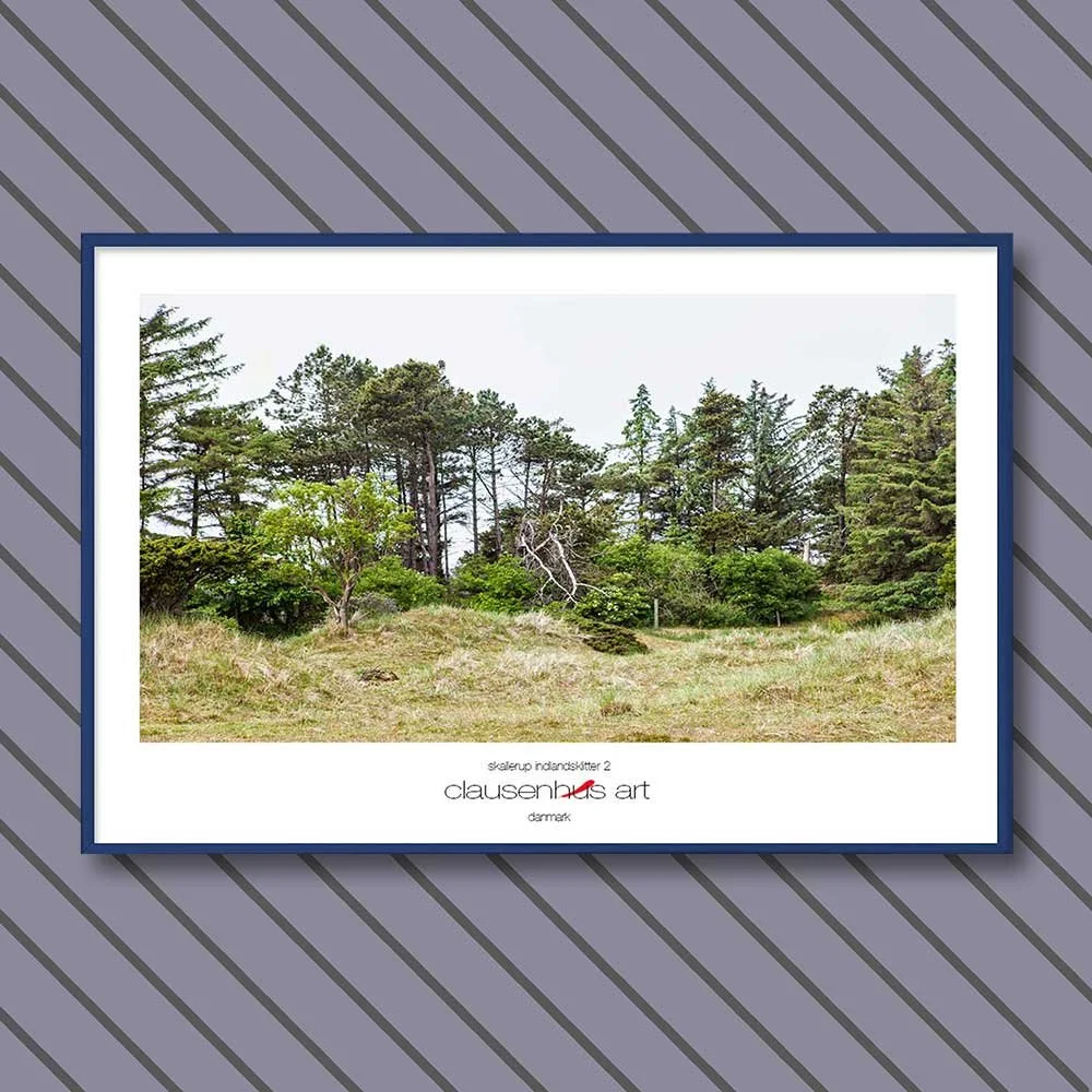 skallerup-indlandsklitter-2.jpg