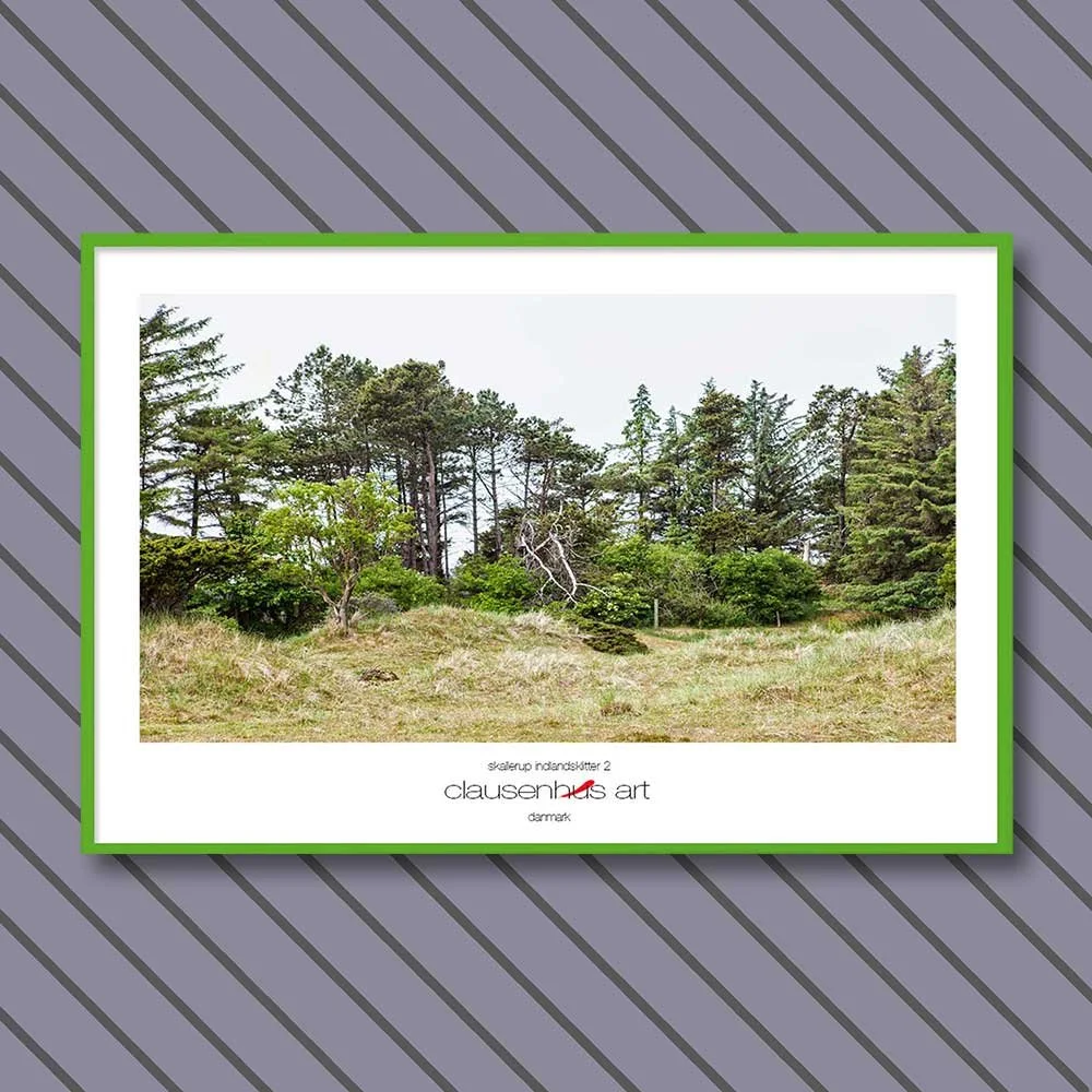 skallerup-indlandsklitter-2.jpg