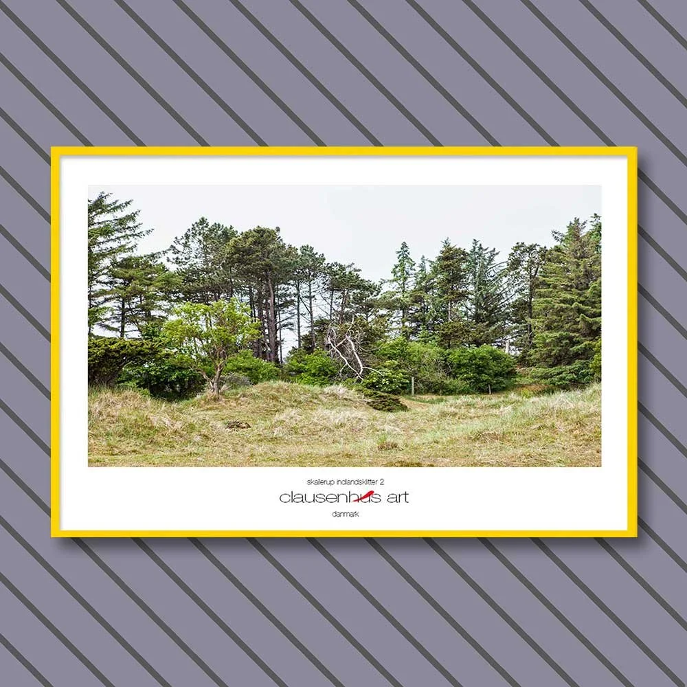 skallerup-indlandsklitter-2.jpg