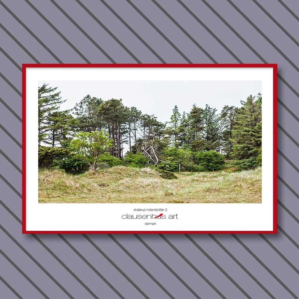 skallerup-indlandsklitter-2.jpg