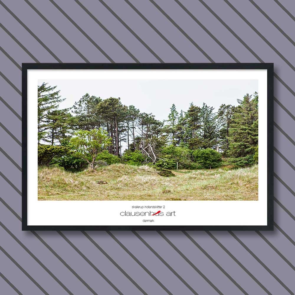 skallerup-indlandsklitter-2.jpg