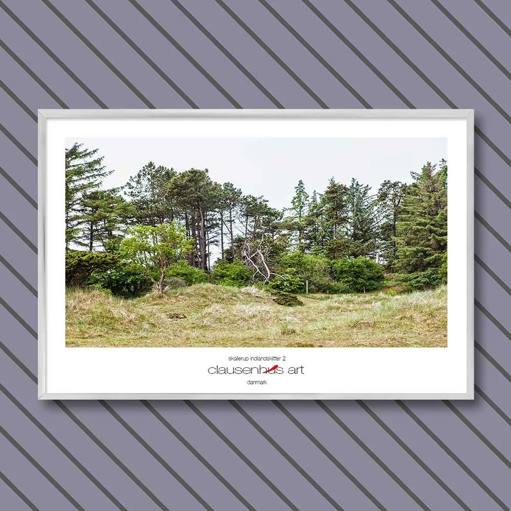 skallerup-indlandsklitter-2.jpg
