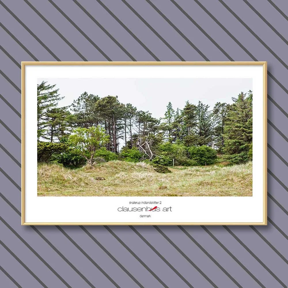 skallerup-indlandsklitter-2.jpg